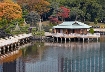 浜離宮恩賜庭園,中島の御茶屋,紅葉