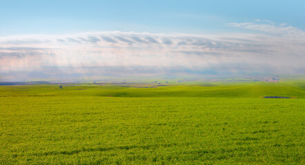 Dramatic rain clouds above the green field.