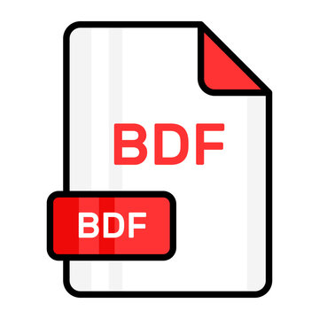 An amazing vector icon of BDF file, editable design