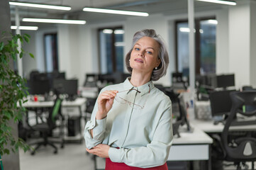 Fototapeta na wymiar Portrait of an attractive mature caucasian woman in the office. 