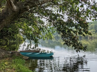 a handmade boat on the river in the latinoamerican rainforest, oaxaca, mexico with trees