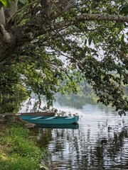 a handmade boat on the river in the latinoamerican rainforest, oaxaca, mexico with trees