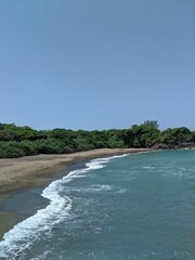 virgin beach on the sea with a very healthy forest full of trees and blue water in veracruz, roca partida region, tuxtlas, mexico, america, spring season