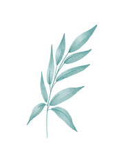 eucalyptus leaves watercolor tosca blue