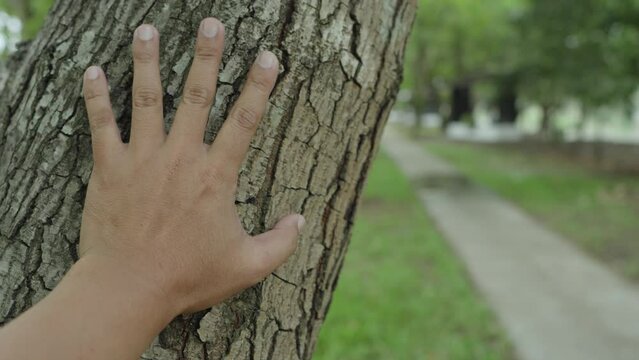 Man behide tree waiting for someone or something. Hand touching bark of tree and thinking. Nature and environment concept.