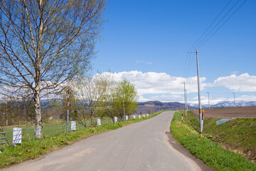 春の丘陵畑作地帯を通る道と青空

