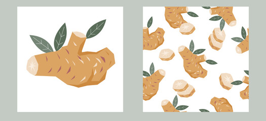 Ginger or turmeric design kit with ginger root image and matching seamless decorative pattern, hand drawn flat vector illustration. Seamless texture and composition set for ginger and tea packs.