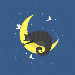 cat dream. the cat sleeps on the moon. vector illustration of fluffy domestic cat and night sky
