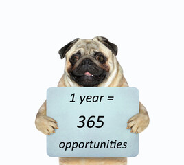 Dog pug holds poster with text
