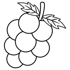 illustration of grapes