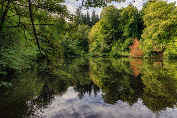 Reflections on the lake at The Glen, Paisley, Scotland