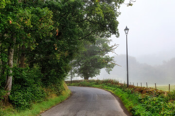 Fototapeta na wymiar Road with old lamp in the morning fog, Strathtay, Scotland
