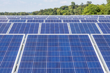 rows array of polycrystalline silicon solar cells or photovoltaic cells in solar power plant  - 570178614