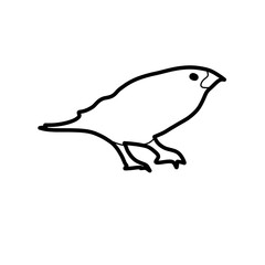 hand drawn vector illustration of a bird