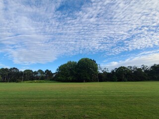 blue sky of newzealand