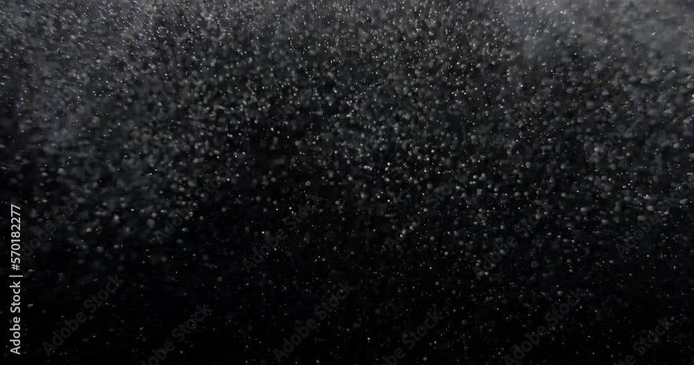 Wall mural natural organic dust particles floating on black screen dynamic randomly float in space. shimmering 