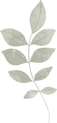 Watercolor Leaf branch