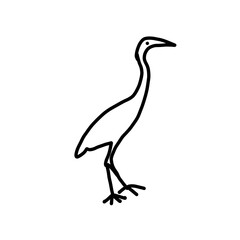 long leg crane bird