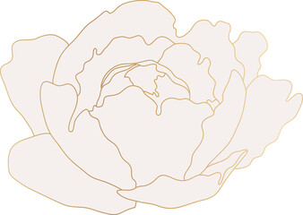 Botanical flower gold line art