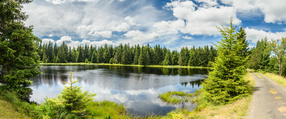 Mountain lake in the forest panorama