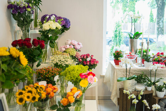 Interior of flower shop