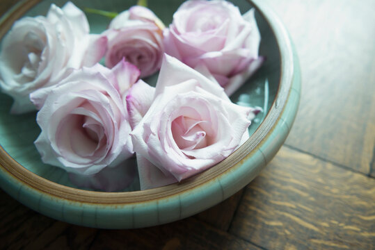 Roses in ceramic bowl, close up