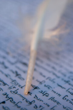 Close up of quill on document