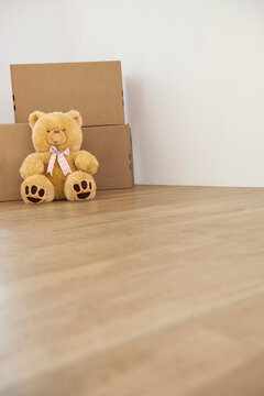 Teddy bear wooden floor alone cardboard boxes