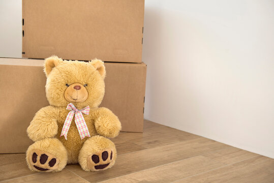 Teddy bear wooden floor alone cardboard boxes