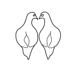 couple dove love bird