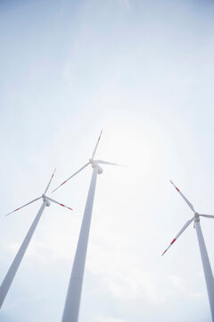 Three wind turbines energy electricity