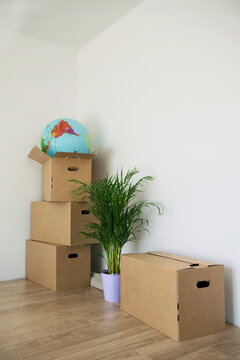 Moving house home still life boxes plant pot