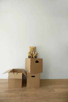 New home room packing case teddy empty