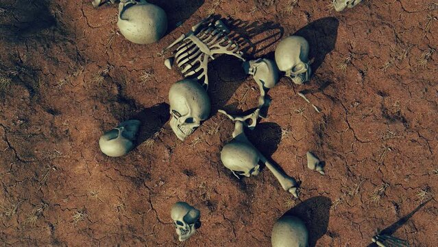 Skulls and skeletons of people on the ground