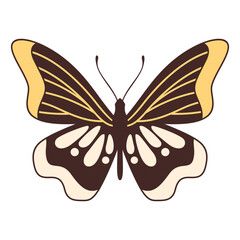 Retro Butterfly Illustration
