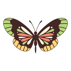 Retro Butterfly Illustration