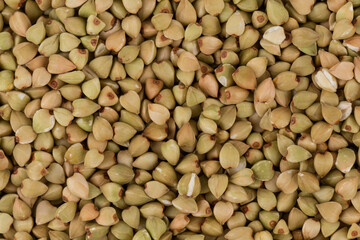 organic bio buckwheat