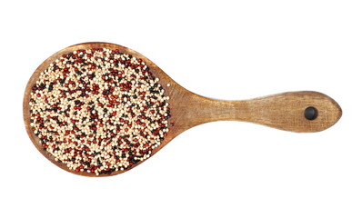 Tri-color quinoa uncooked seeds blend in wooden spoon isolated on white, top view