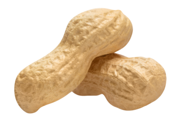 Delicious peanuts cut out