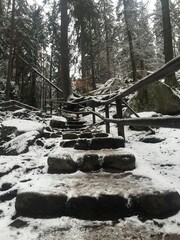 Kamienne schody w lesie