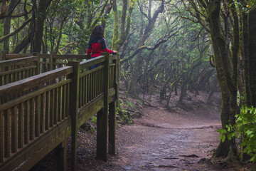 One of the trails of Anaga park