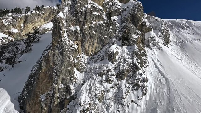 FPV drone flying dive close to cliff with fir trees. Group freeride riders standing on hill ski extreme sport hobby. Winter mountain day valley aerial view dynamic shot heliski alpine snow rocky 4k