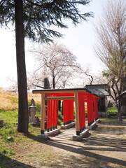 熊谷桜堤のそばにある荒川神社にある伏見稲荷社