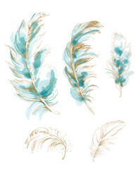 PNG Beautiful elegant set of feathers on transparent background. Watercolor and ink illustration in turquoise hues with gold outline.