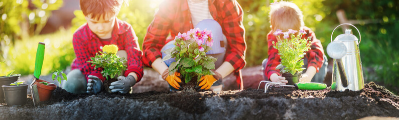 Mother with children planting sprouts in the cultivated soil. © candy1812