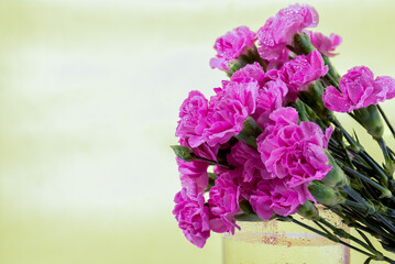 Fototapeta na wymiar bunch of carnation flowers