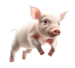 Pig, isolated on transparent background. Generative AI