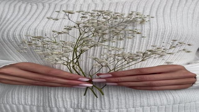 Viedo vertical format. Women's hands with nude manicure of light shade hold sprig of small white flowers in hands. 