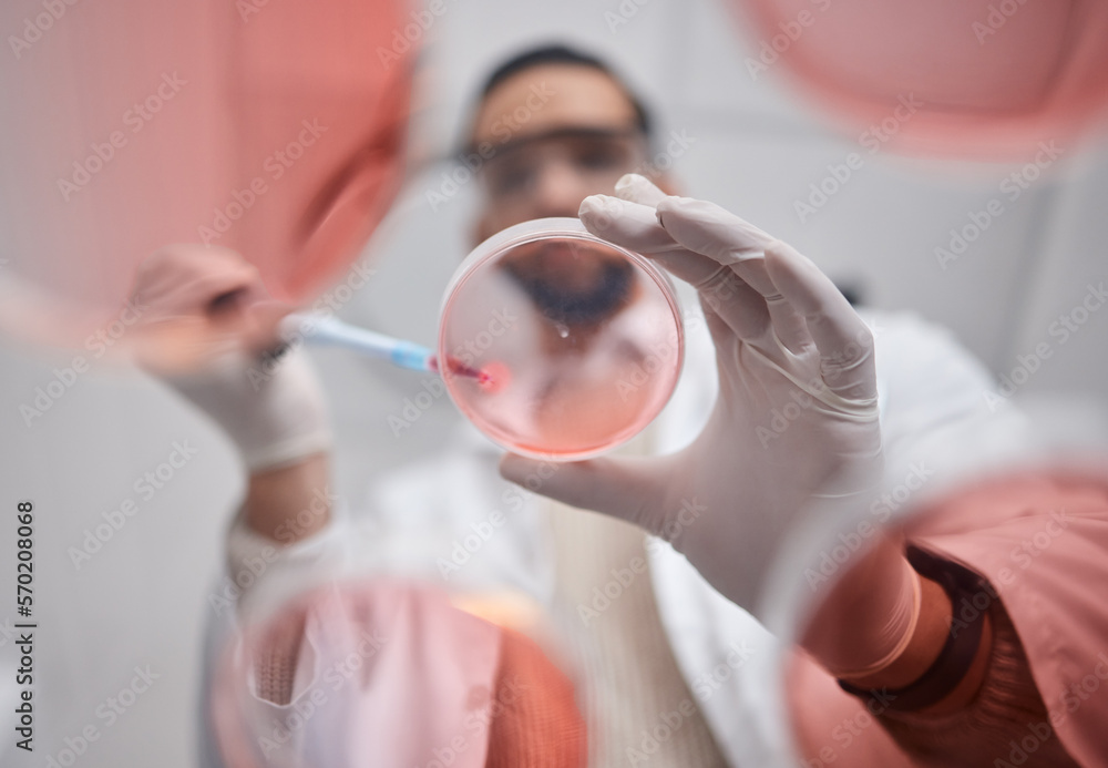 Poster scientist, petri dish and pharma test worker man working on science research in a laboratory. medica