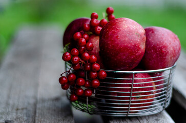 red apples and viburnum fruits in an iron basket